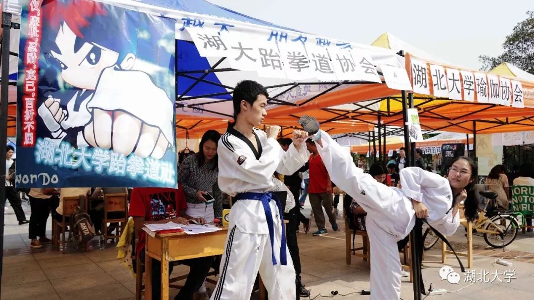 2023年考研报考人数继续飙升,考研关注