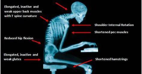 你还在做这些错误的拉伸吗,日常拉伸了解一下