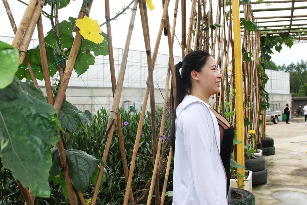 钟山水墨画廊附近旅游攻略,钟山水墨画廊自驾游