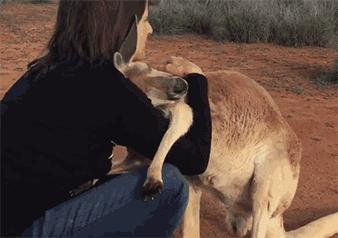 澳大利亚为什么有一半土地荒芜,澳大利亚领土退化史