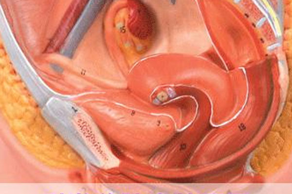 女性盆腔炎疾病严重么,老年女性盆腔炎症状