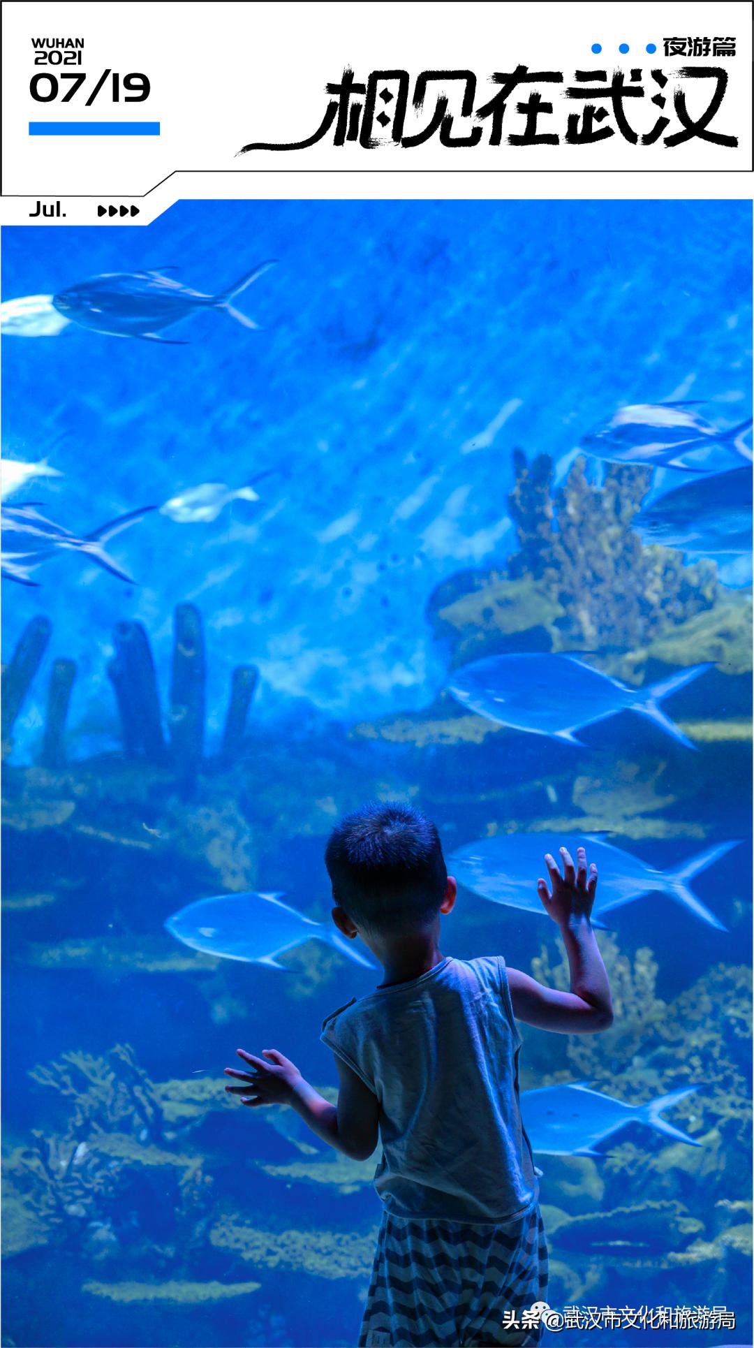 海洋馆武汉冬天,武汉伢周游世界