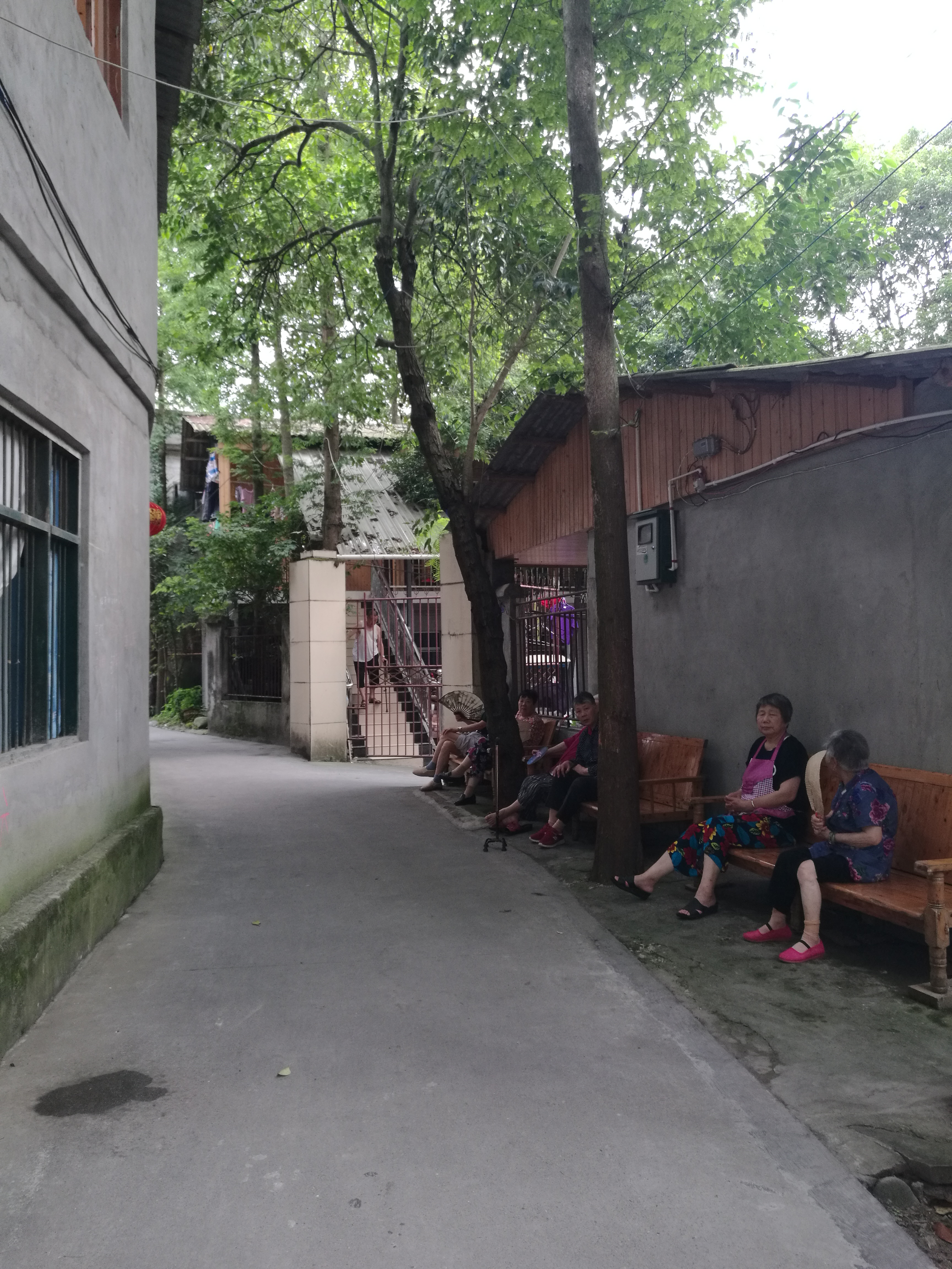 夏天去青城山避暑好吗,夏天周末青城山避暑玩水