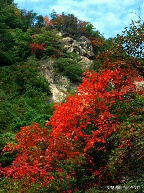 洛阳养子沟快捷酒店,洛阳栾川养子沟青山客栈