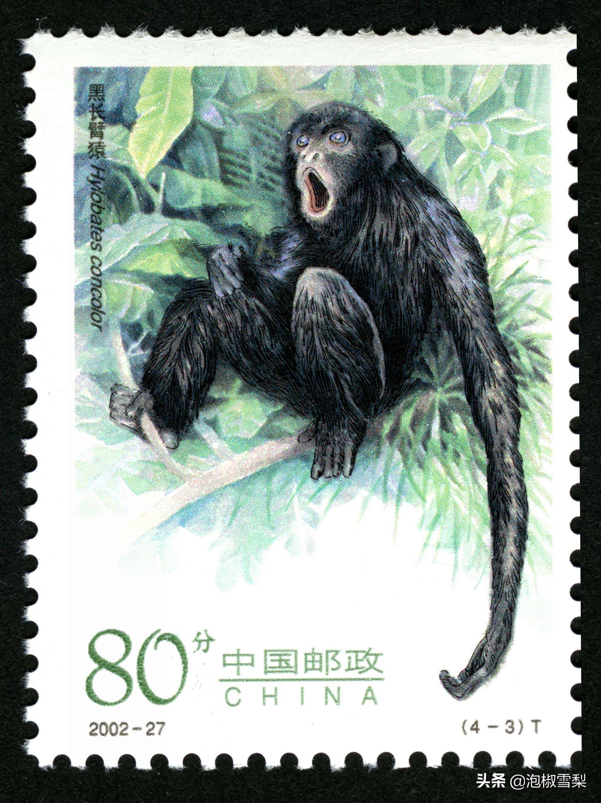 中国男足.七仙女.跆拳道.八大山人.聊斋｜2002全年邮票118张图片