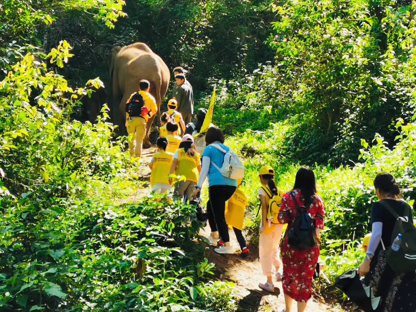 西双版纳13大旅游度假酒店，高品质，家庭出游最佳选择#版纳旅游