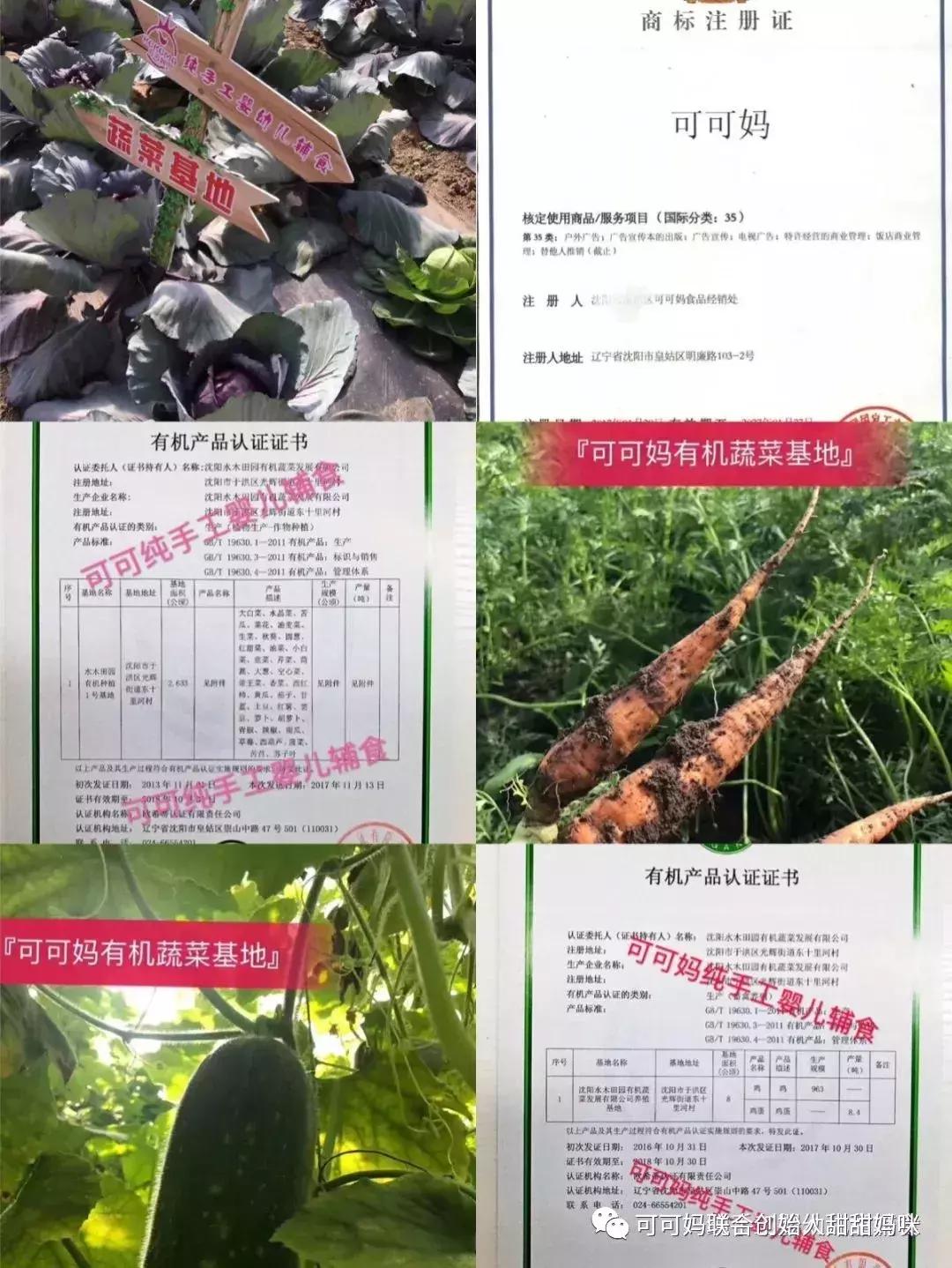 可可妈辅食创始人,可可妈纯手工辅食代理政策