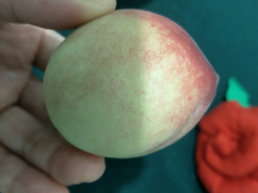 桃子的毛怎么去,桃子的毛怎么清理