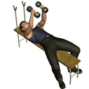 哑铃和器械健身哪个增肌快一些,哑铃和杠铃高效练二头