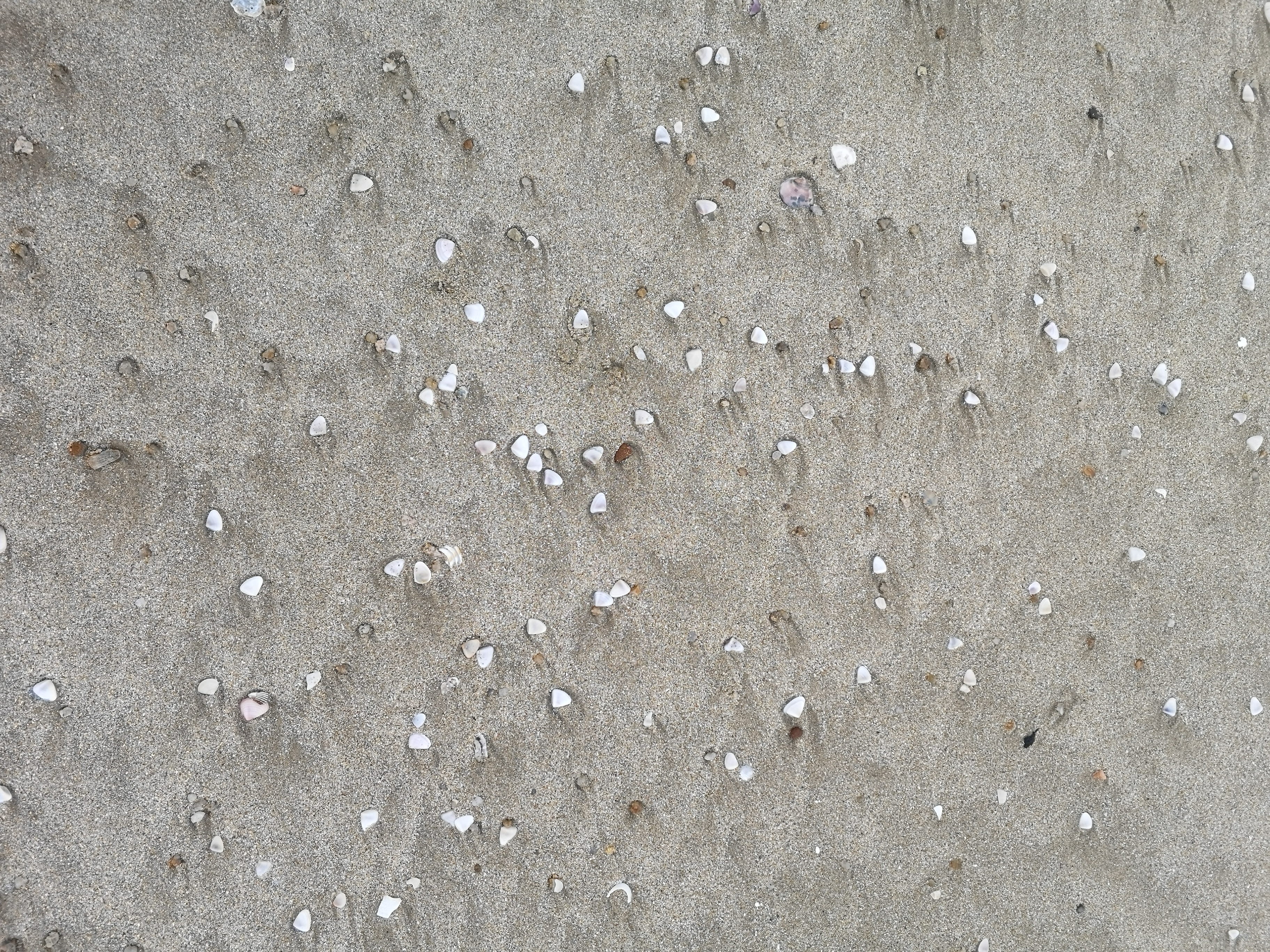厦门六鳌游玩攻略一日游,福建六鳌岛旅游攻略一日游