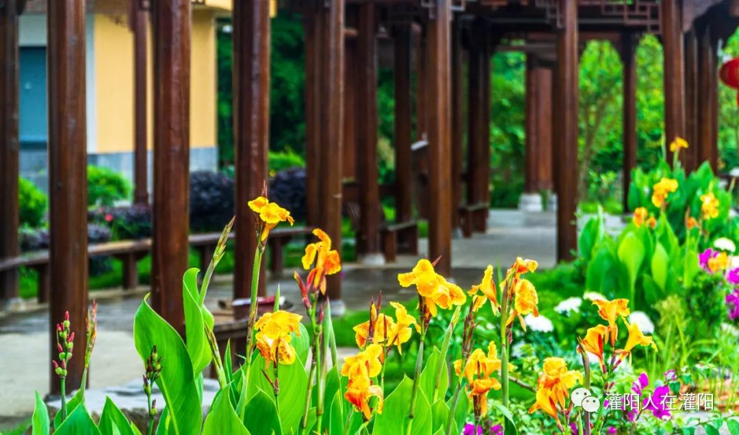 桂林周边村寨,桂林市乡野休闲山庄