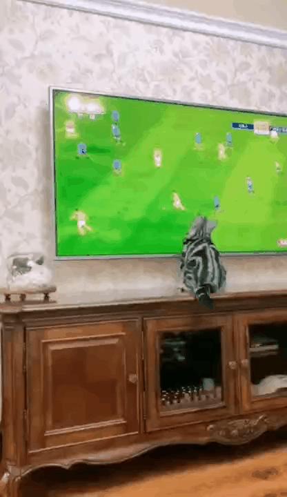 <html>
<head><title>502BadGateway</title></head>
<body>
<center><h1>502BadGateway</h1></center>
<hr><center>nginx</center>
</body>
</html>
<!--apaddingtodisableMSIEandChromefriendlyerrorpage-->
<!--apaddingtodisableMSIEandChromefriendlyerrorpage-->
<!--apaddingtodisableMSIEandChromefriendlyerrorpage-->
<!--apaddingtodisableMSIEandChromefriendlyerrorpage-->
<!--apaddingtodisableMSIEandChromefriendlyerrorpage-->
<!--apaddingtodisableMSIEandChromefriendlyerrorpage-->
