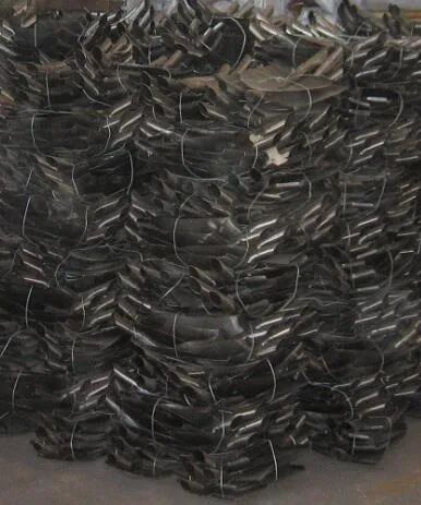 閾侀敼鎶婄嫍澶存媿鍑鸿,82骞村ぇ璞＄墝閽㈤敼