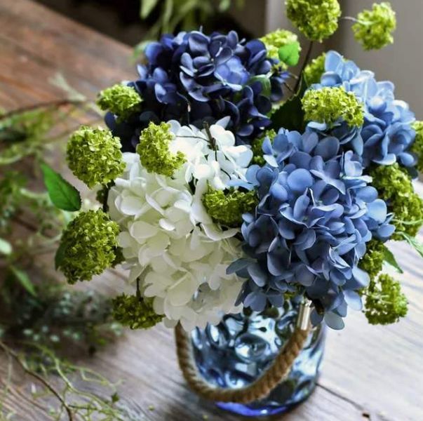 这4种花原来是解毒之王,生活中常见的六种毒花