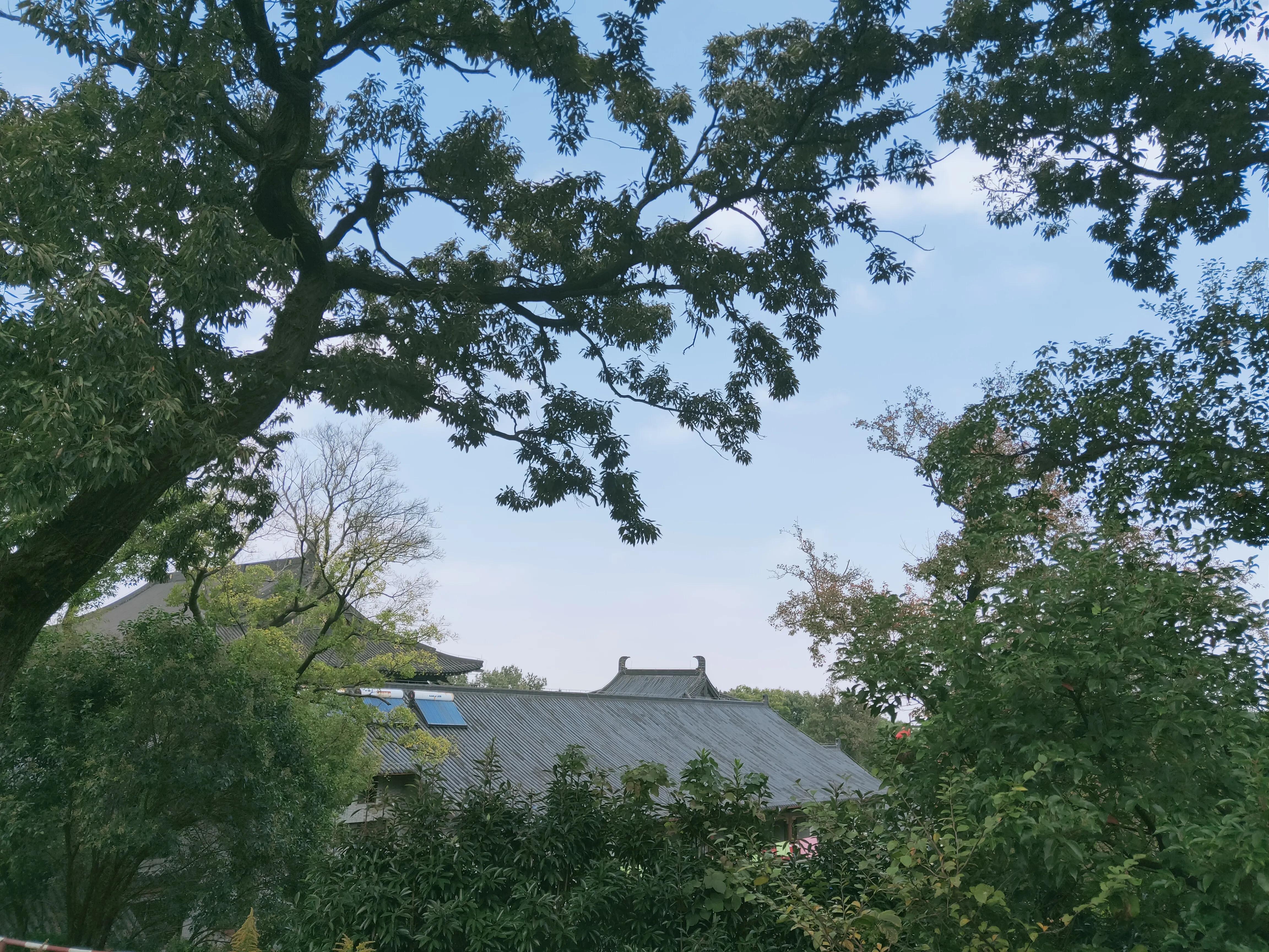 宁波伏龙山景区,慈溪伏龙山滑翔伞基地