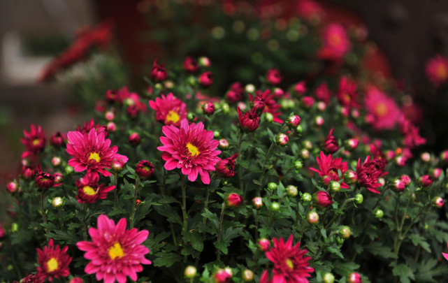 十二星座心情不好怎么宣泄,十二星座情绪低落时