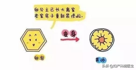 大姨妈才是19天来正常吗,大姨妈来了不痛真的正常吗