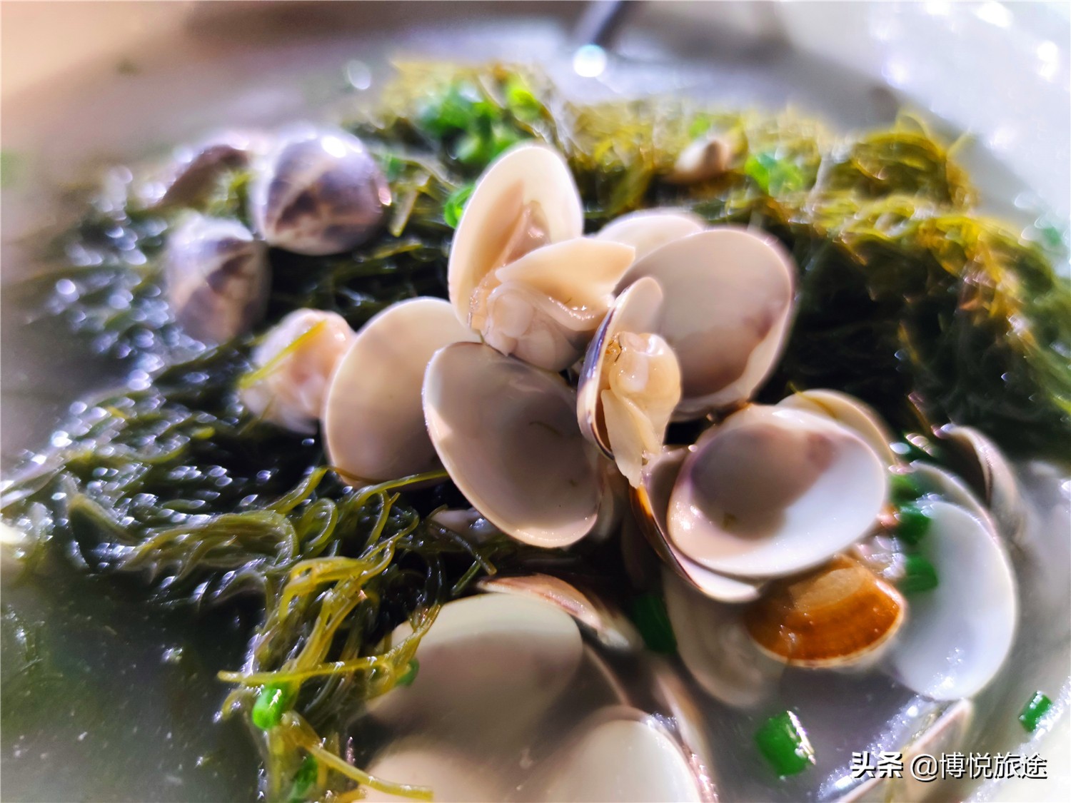 上川岛海岛风景,海岛旅游攻略必去的10个岛