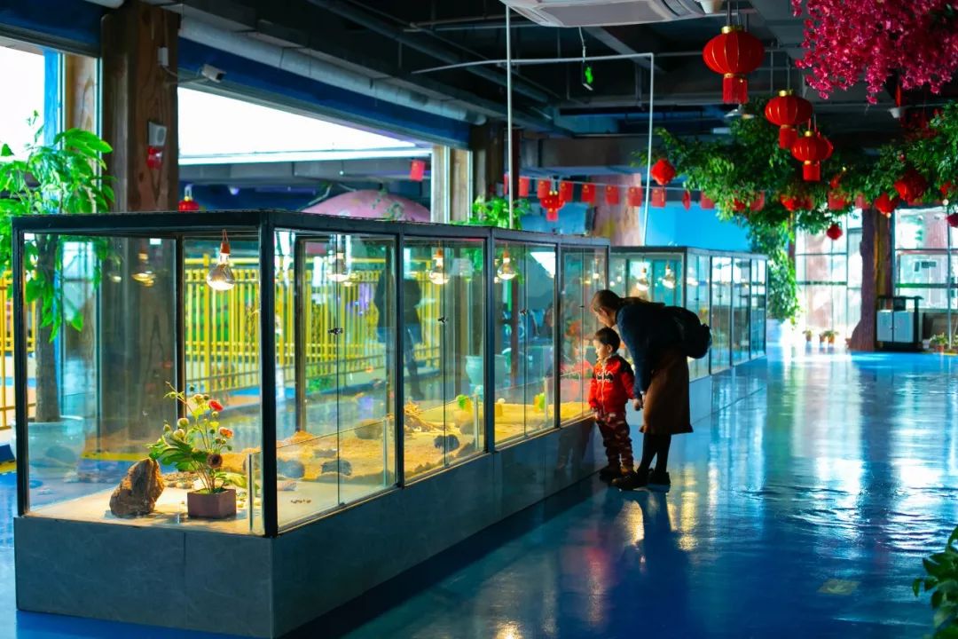 海花岛海洋乐园萌宠表演场,海花岛海洋乐园萌宠剧场