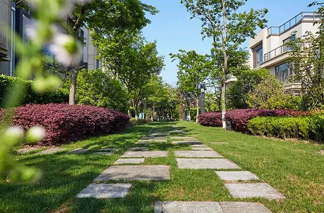 嘉涛湾湖别墅户型,青浦朱家角别墅嘉涛湾价格一览表