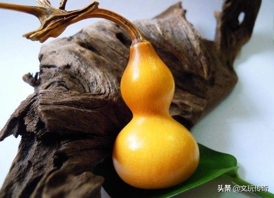 葫芦怎么晒成葫芦干不发霉,文玩葫芦保养与盘玩
