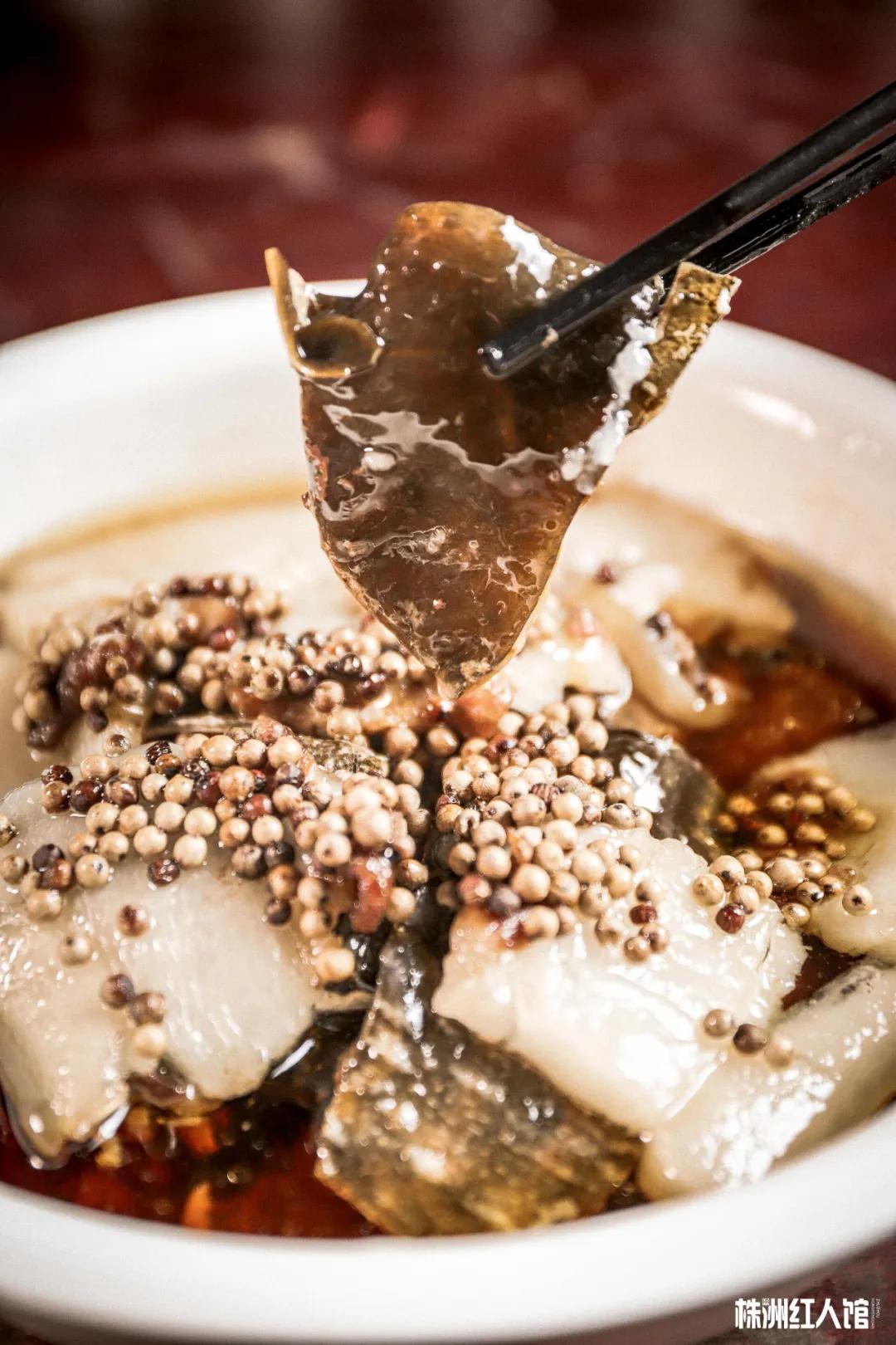 神经哥回归过程,神经哥原唱歌曲