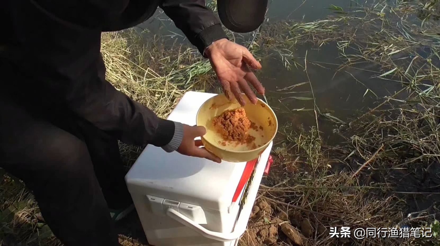 钓鲤鱼正确方法与技巧,有什么方法钓鲤鱼不用看着吗