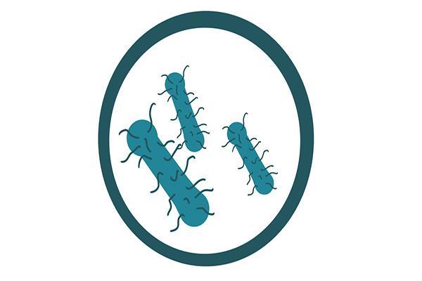 经常憋尿会引起什么妇科病,经常憋尿会导致妇科病吗