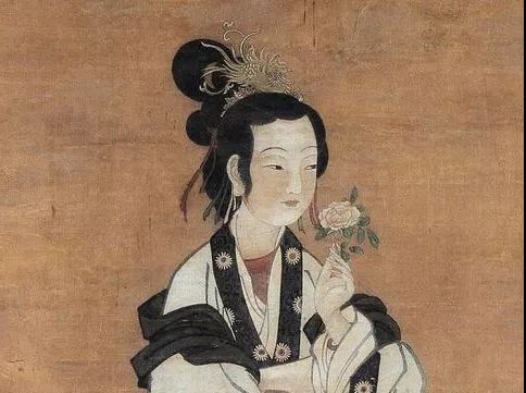 月季花的修剪时间和方法,月季花的作用