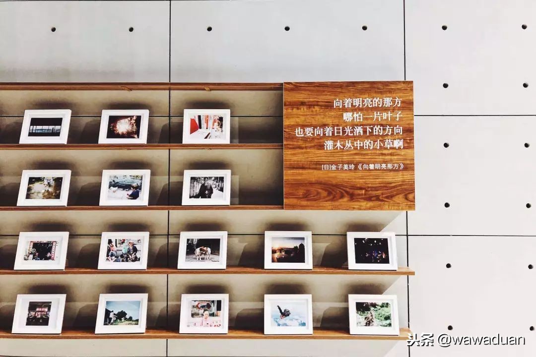 12月的深圳哪里适合打卡,12月深圳好逛的地方推荐