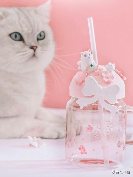 热奶茶排行榜前十名好喝的奶茶,奶茶饮品排行榜前十名好喝