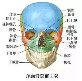 拔除智齿有什么副作用吗,拔除智齿脸会小吗还是下垂