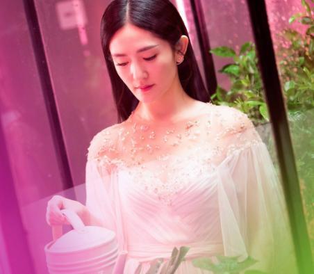 那英力挺张碧晨张杰谢娜,张碧晨张杰谢娜新闻