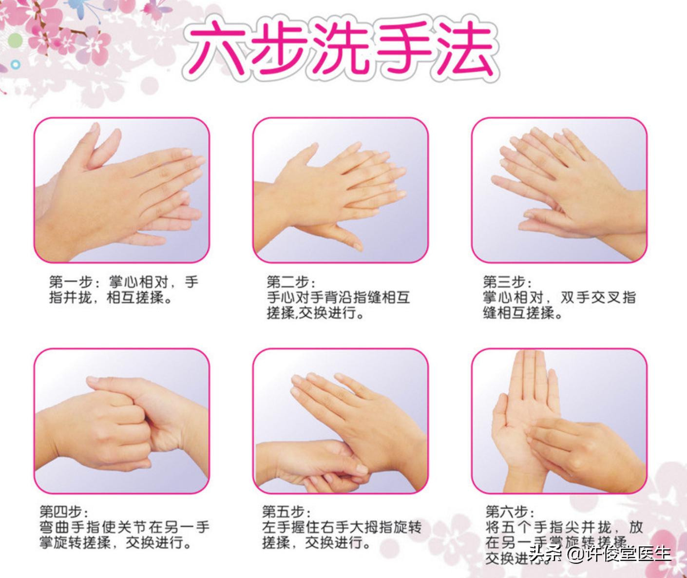 病毒大流行期间的生活,病毒是如何生存