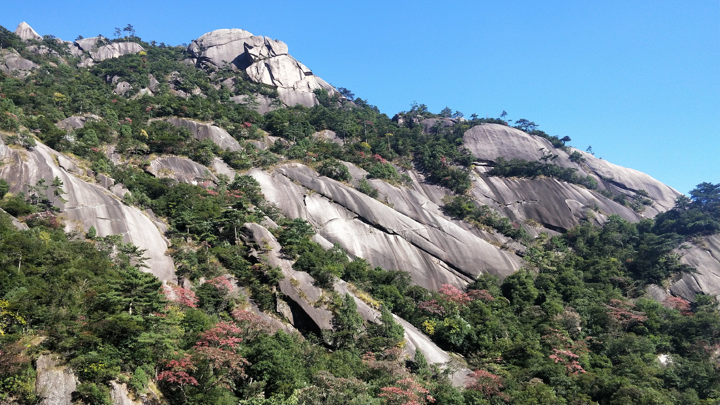 灏戝勾鏃剁殑姊︽兂榛勫北,瀛︾敓鏃朵唬姊︽兂