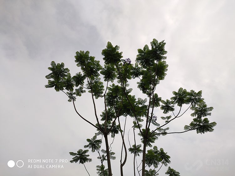 红米note7pro8g256g售价,千元手机红米note7评测