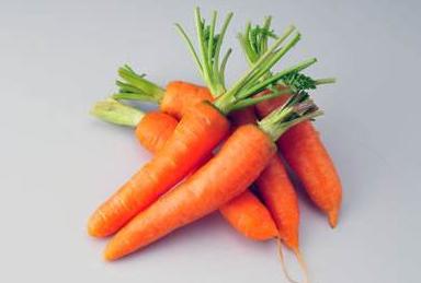 比熊犬总是眼屎多,比熊犬眼泪眼屎多滴什么眼药水