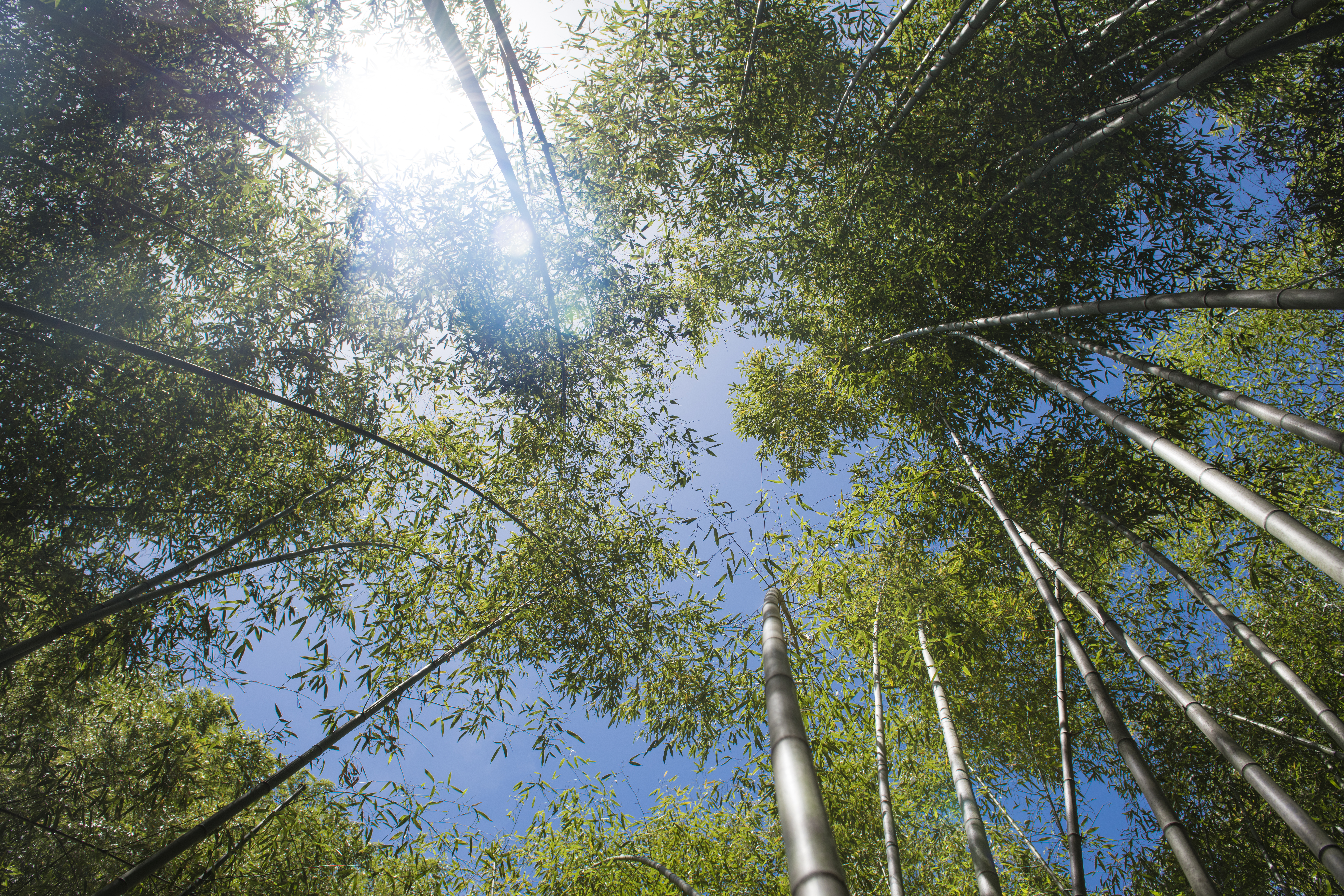 重渡沟，自驾避暑胜地，感受千年古都背后的宁静