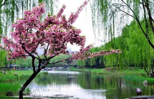 西安的夏天是什么颜色的,西安的春天有多美
