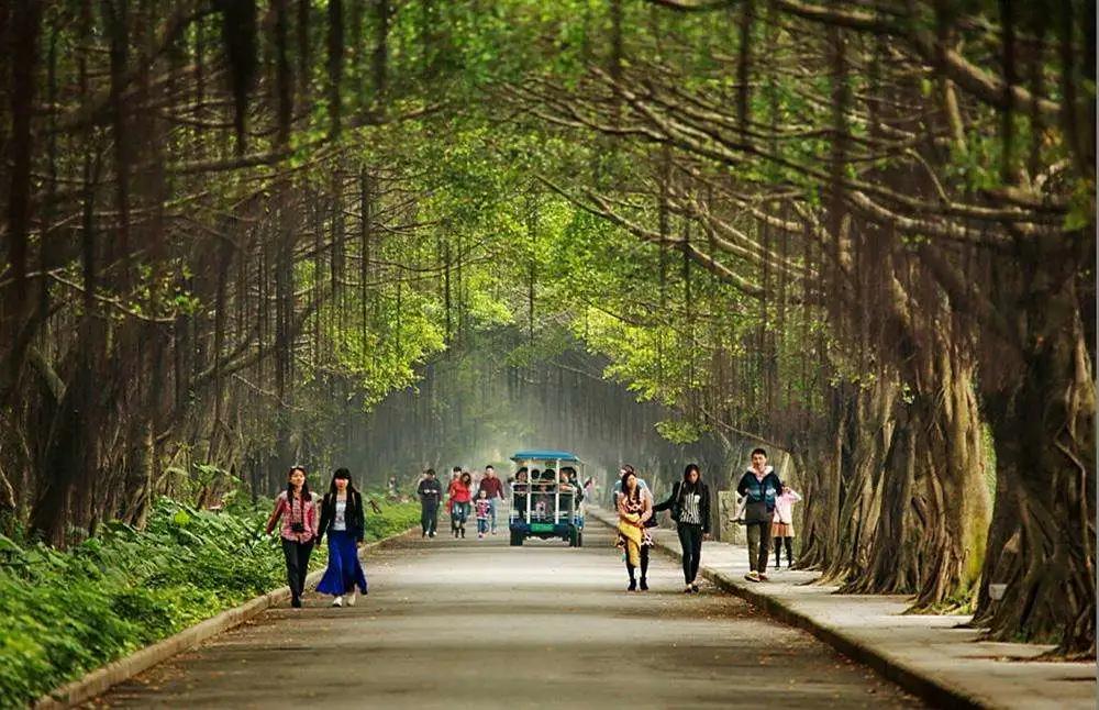 东莞被深深误解的城市,东莞什么时候被评为十大魅力城市