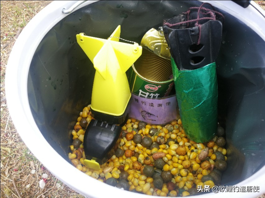 话说欧鲤钓之科学篇,欧鲤钓知识讲解