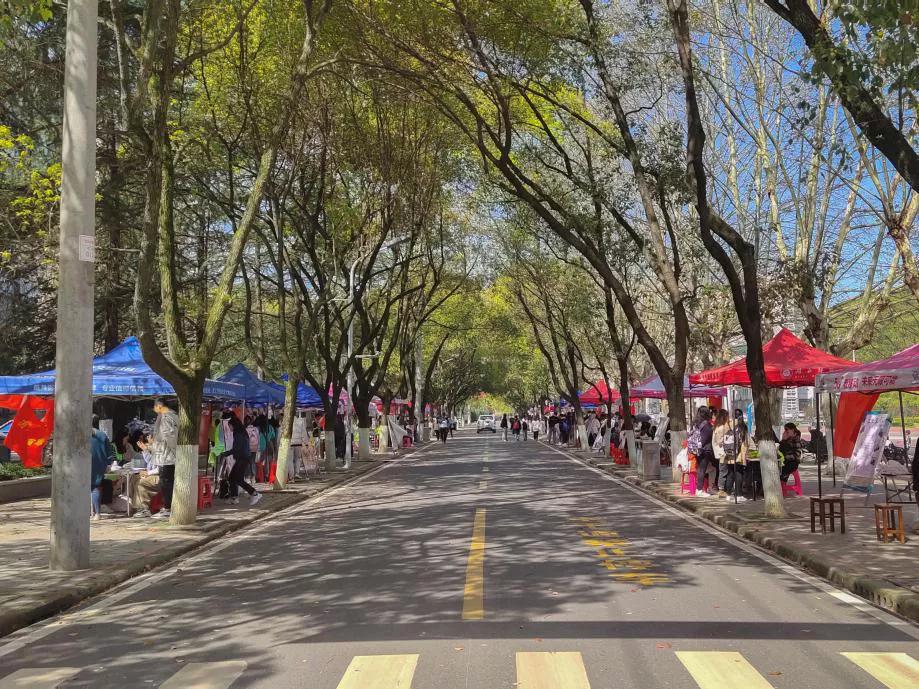 湖北即将新建的大学,湖北将整体搬迁的大学