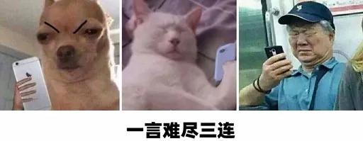 亲吻有可能会传播的疾病,亲吻有可能得病吗