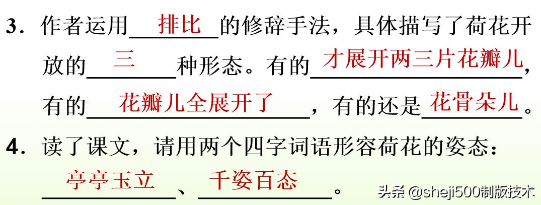 部编版三年级下册语文3荷花讲解,三年级下册部编语文荷花教学视频