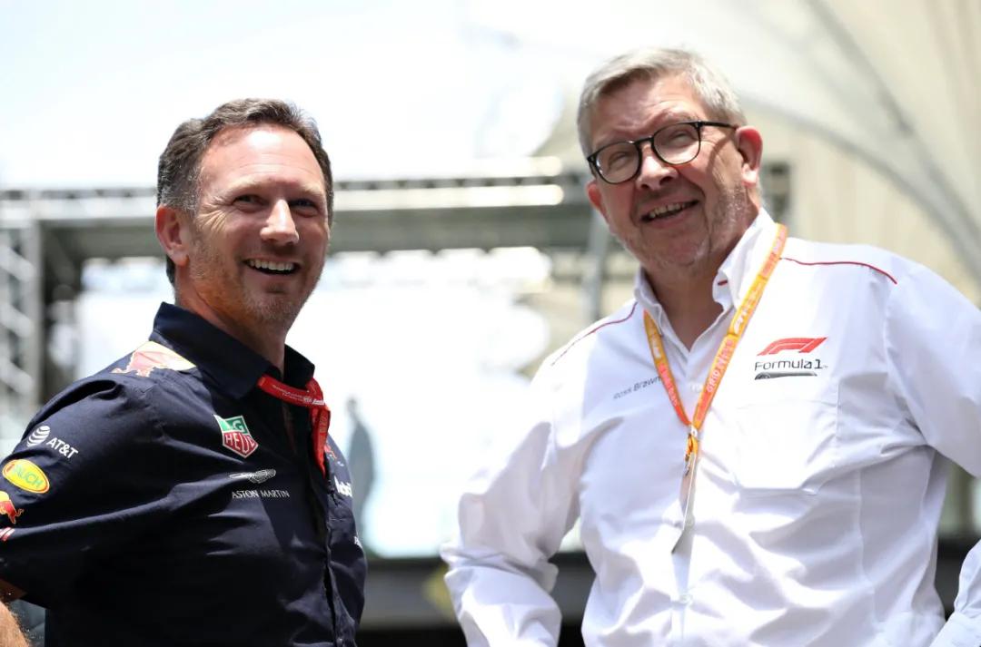 罗斯布朗谈霍肯伯格,罗斯布朗评价维斯塔