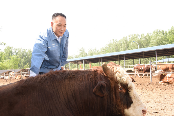 中国石化扶贫视频,中国石化扶贫纪实