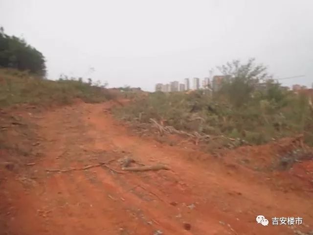 吉安最新地块成交,吉安房地产楼面价