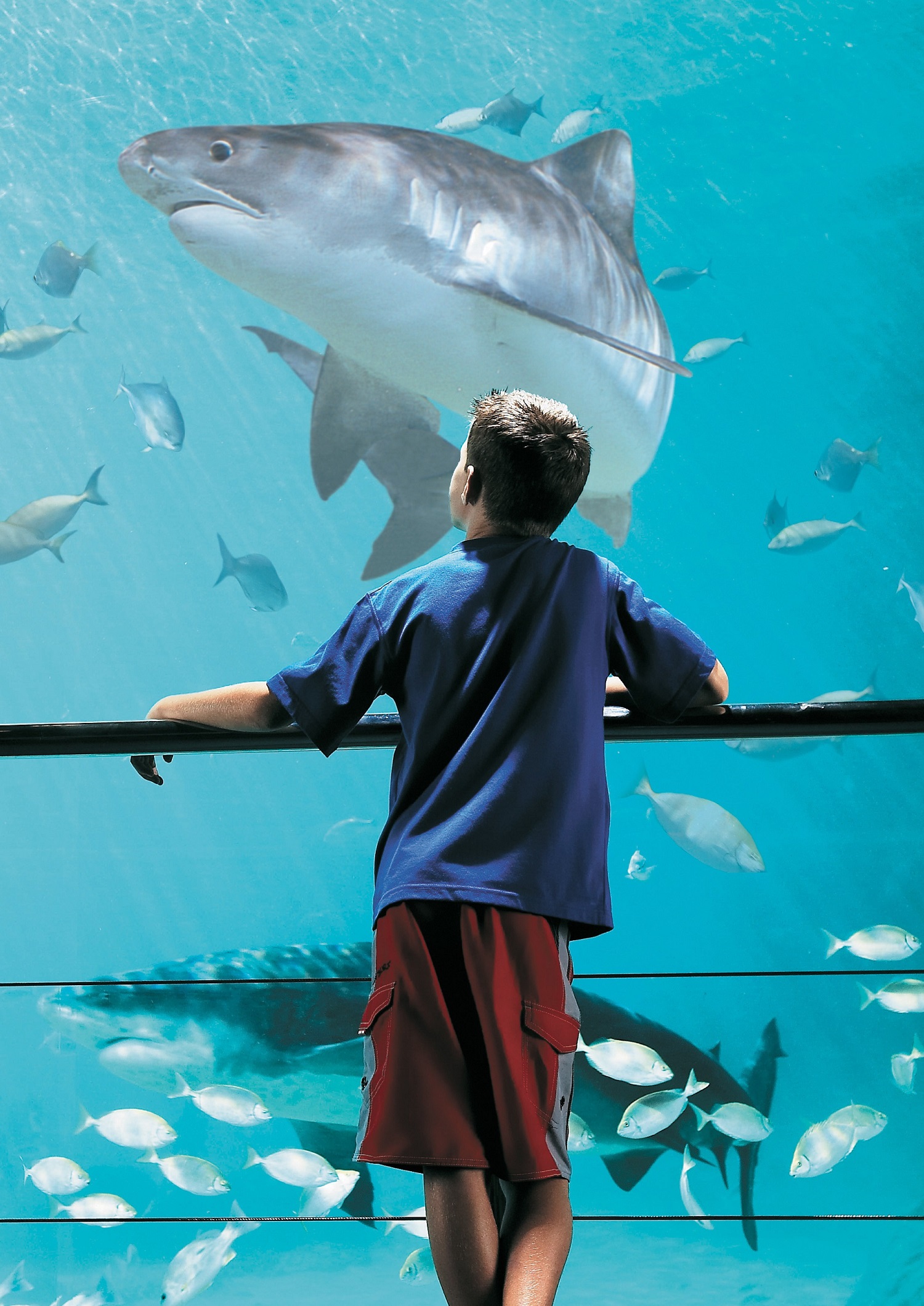 周游欧洲攻略,周游世界旅行攻略