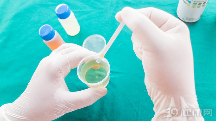 尿蛋白疑似阳性但肾功能正常,尿蛋白提示neg