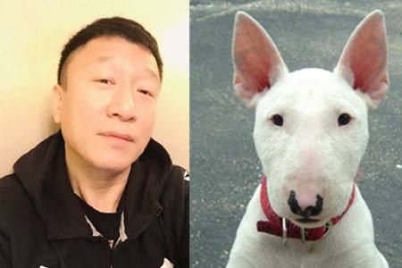 各品种犬最常见的遗传缺陷，在养待养的都看一下